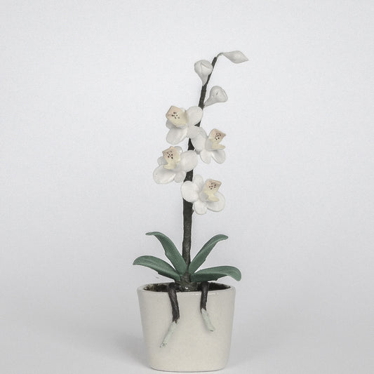 Weisse Orchidee im Blumentopf, Miniatur für das Puppenhaus 1:12