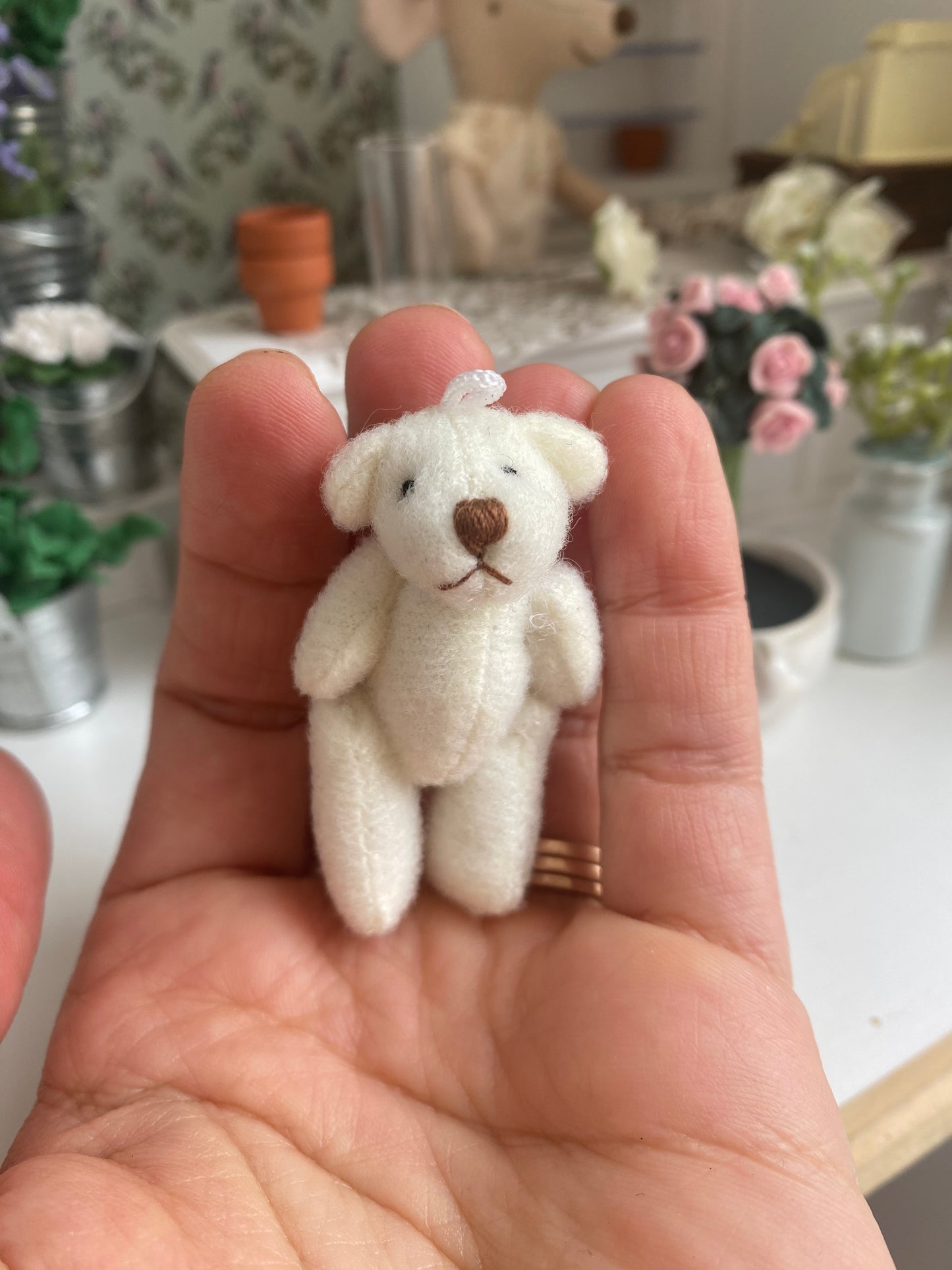 Teddy tiny, Weiß, Miniature